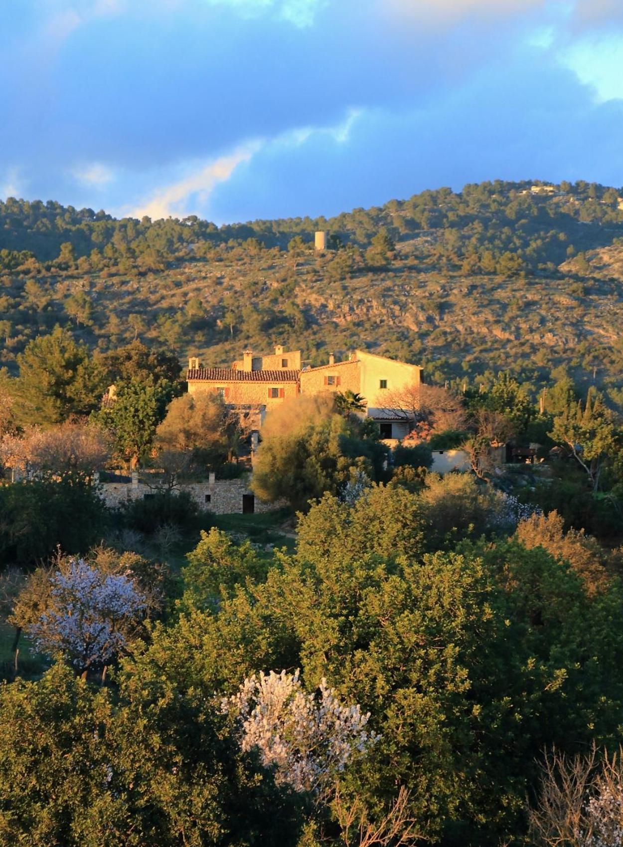 Son Malero Konuk evi Calvia  Dış mekan fotoğraf